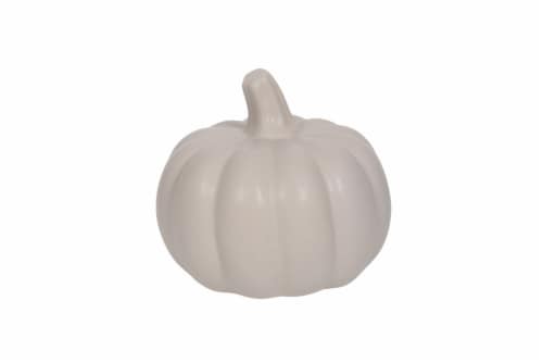SDS for HD Designs Porcelain Pumpkin - Gray Perspective: front