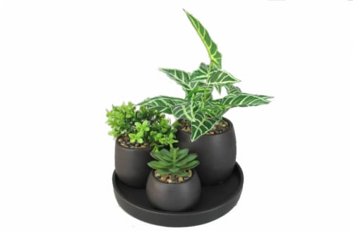 HD Designs Greenery Perspective: front