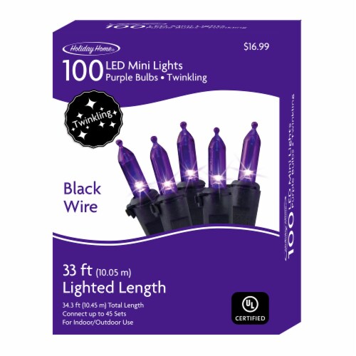 Holiday Home LED Twinkle Maini Lights - Purple Perspective: front