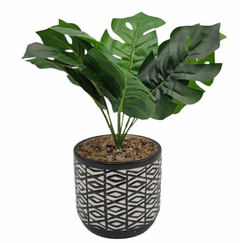 HD Designs Outdoors Ceramic Planter with Plant - Black/White Perspective: front