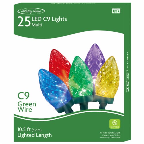 Holiday Home Green Wire Multicolor LED Lights C9 Christmas Décor Perspective: front