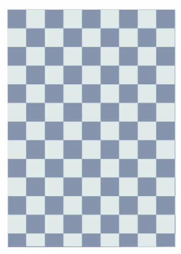 SDS for HD Designs Poly Pro Rug - Checkers Perspective: front