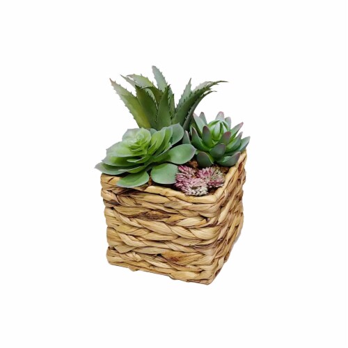 HD Designs Outdoors Succulent in Wicker Pot Perspective: front