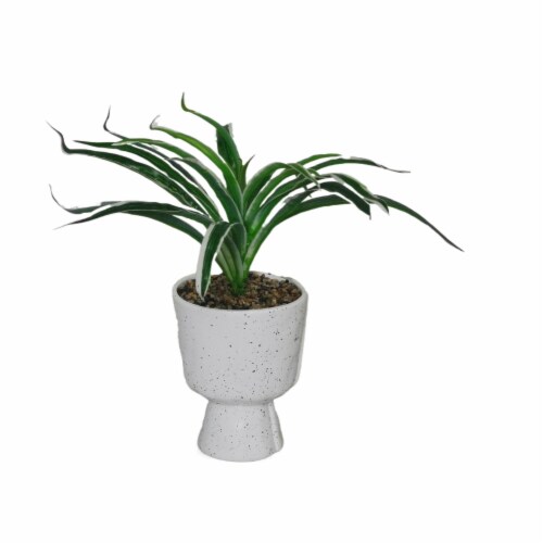 HD Designs Succulent in White Speckle Ceramic Pot Perspective: front