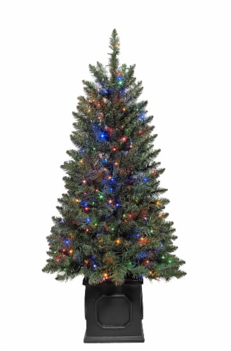 Holiday Home Beaufort Fir Potted Tree with Color Changing Cluster LED Lights Perspective: front