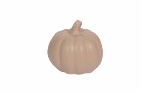 SDS for HD Designs Porcelain Pumpkin - Dark Gray Perspective: front