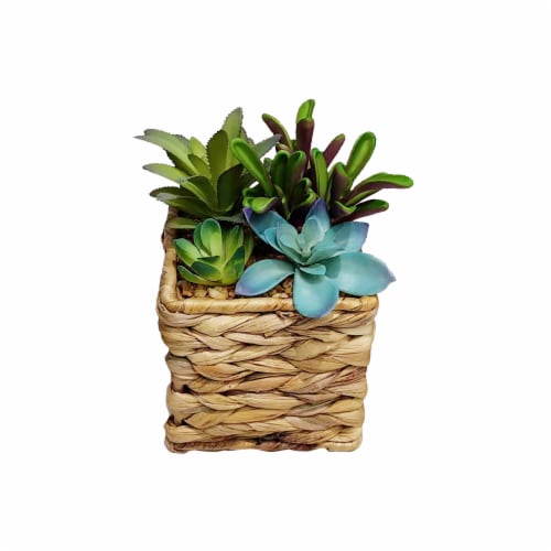 HD Designs Outdoors Succulent in Wicker Pot Perspective: front