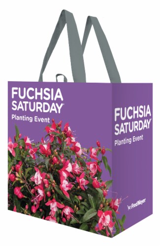 Earthwise Fuchsia Saturday Perspective: front