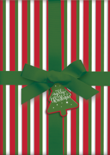Holiday Home Elegant X-Large Rectangle Gift Box Perspective: front