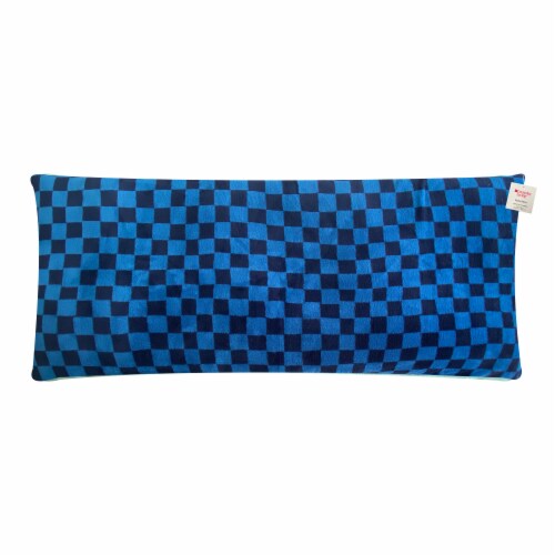Everyday Living Blue Checkers Pillow Perspective: front