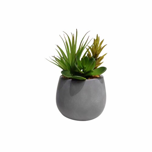 HD Designs Outdoors Succulent in Cement Pot Perspective: front