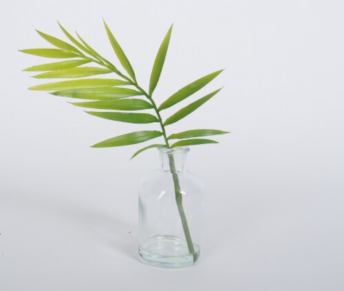 HD Designs Palm Leaf in Glass Vase Perspective: front