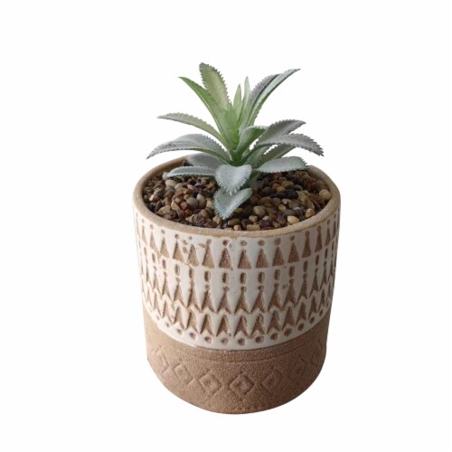 HDO 4in Succulent Square Base Perspective: front
