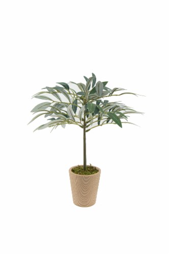 HD Designs Olive Tree in Wood Pot Perspective: front
