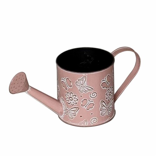 HD Designs Watering Can Perspective: front