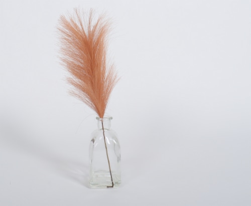 HD Designs Pampas Stem - Blush Perspective: front