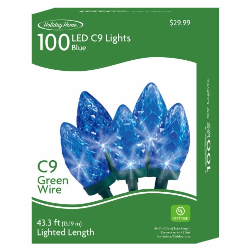 Holiday Home® 100 ct Green Wire LED Christmas Lights - Blue Perspective: front