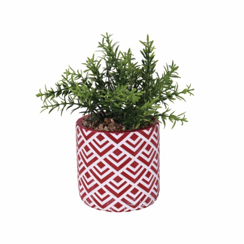 HD Designs Outdoors Faux Outdoor Succulent Perspective: front