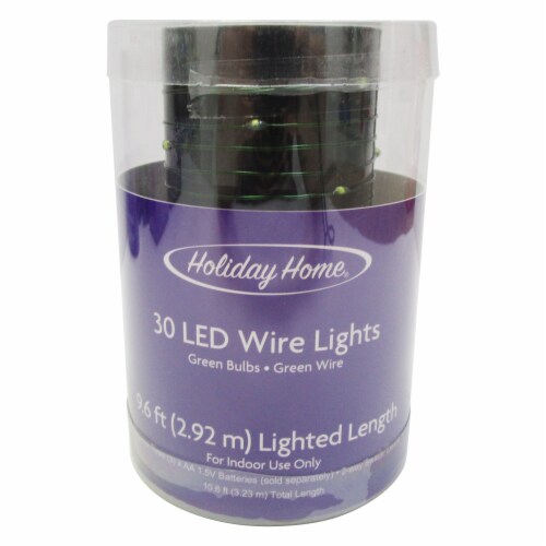 Holiday Home® 30 ct Halloween LED Green Bulb Wire Lights Perspective: front