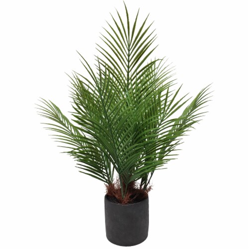 HD Designs Outdoors Black Pot with Areca Plant Perspective: front