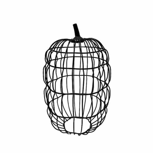 Holiday Home Iron Wire Pumpkin - Black Perspective: front