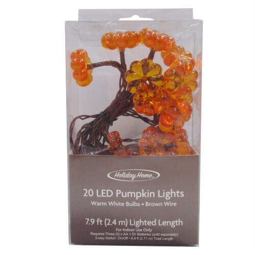 Holiday Home LED Fall Harvest Pumpkin 20 String Lights Perspective: front