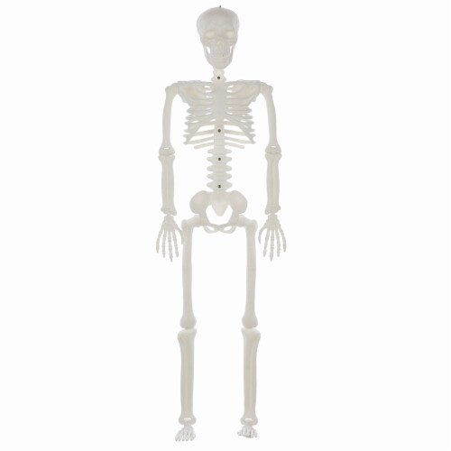 Holiday Home Blacklight Skeleton White Perspective: front