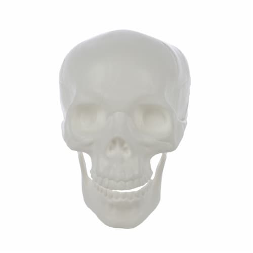 Holiday Home Blacklight Skull White Perspective: front