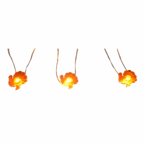 Holiday Home LED Harvest Turkeys Light Set Perspective: front