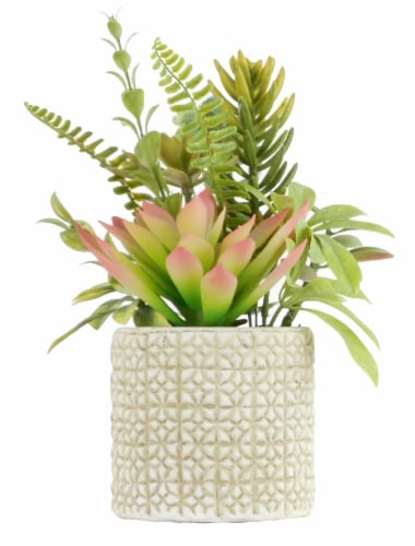 HD Designs Succulent/Agave In Ceramic Pot Perspective: front