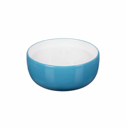 Everyday Living® Citronella Bowl - Blue Perspective: front