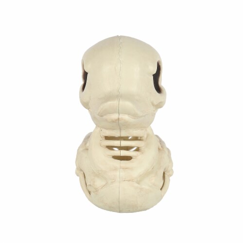 Holiday Home® 4.25" Ducky Skeleton Halloween Decor Perspective: front