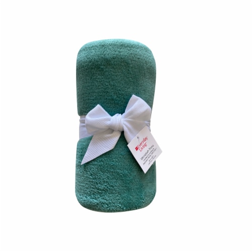 Everyday Living 50 x 60 Inch Microplush Green Throw Perspective: front