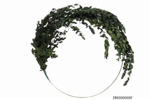 SDS for HD Designs 22-Inch Dried Eucalyptus Leaf Wreath - Green Perspective: front