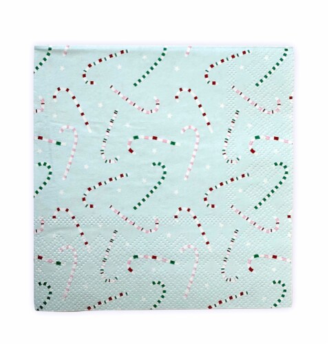 Holiday Home Seasonal Cocktail Napkins - Falling Snow Perspective: front