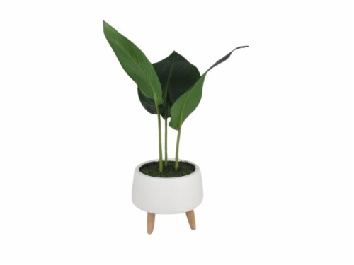 HD Designs Plastic Greenery in Cement Pot Decorative Accent Perspective: front