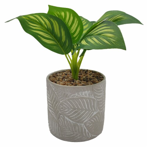 HD Designs Outdoors Ceramic Cement Planter & Plant Perspective: front