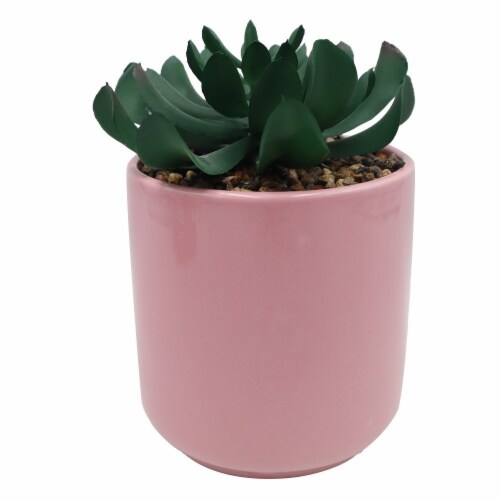 Holiday Home Valentine's Day Ceramic Planter With Succulent - Pink Perspective: front