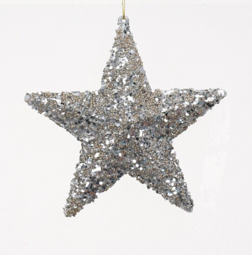 Holiday Home Silver Star Ornament Perspective: front