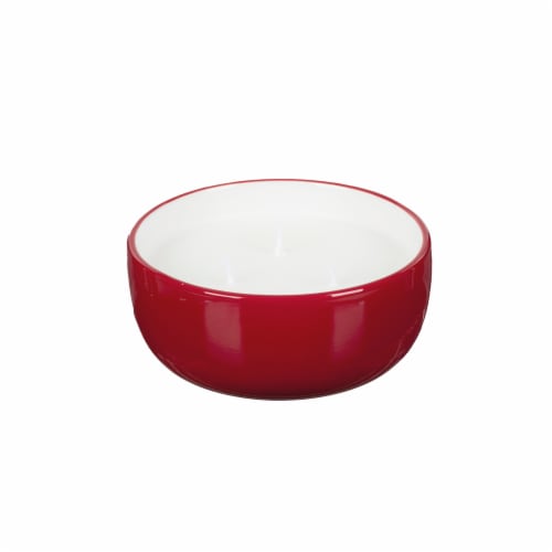 Everyday Living Citronella Bowl - Red Perspective: front