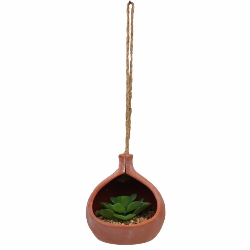 HD Designs Ceramic Hanging Planter with Succulent Perspective: front