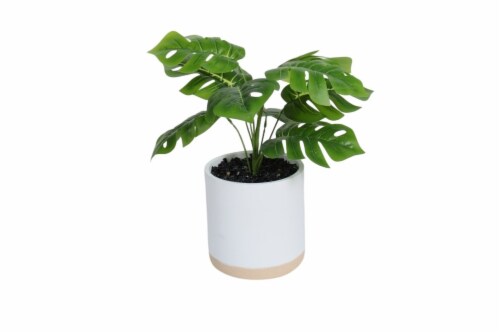 HD Designs Faux Monstera Greenery Perspective: front