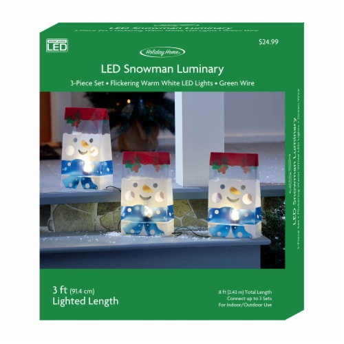 Holiday Home® LED Snowflake Luminary Lights Perspective: front
