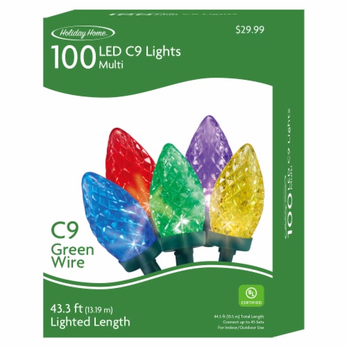 Holiday Home® 100 ct Green Wire LED Mini Twinkle Christmas Lights - Multi Perspective: front
