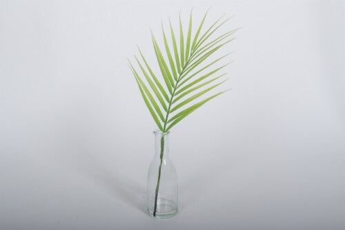 HD Designs Palm Leaf in Glass Vase Perspective: front