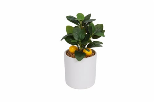 HD Designs Lemon Greenery Artificial Plant Perspective: front