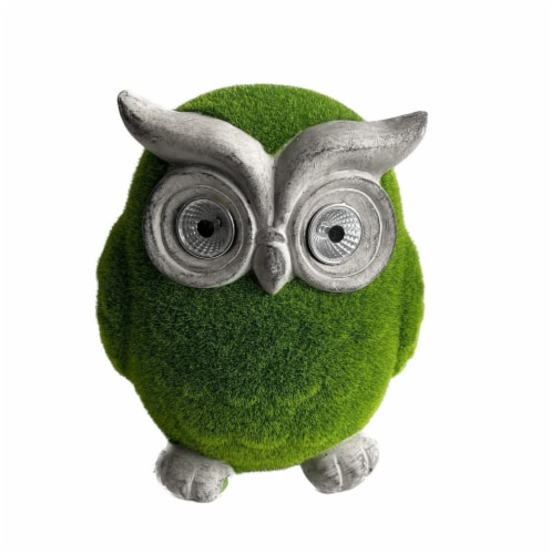HD Outdoors Solar Eyes Moss Owl Perspective: front