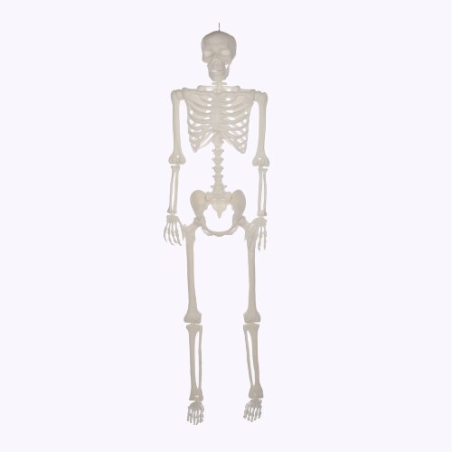 Holiday Home Pose N Stay Skeleton - White Perspective: front