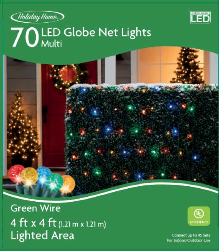 Holiday Home 70 ct Green Wire Multicolor Globe Net LED Light Perspective: front
