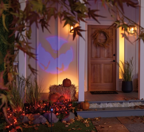 Holiday Home 18 Inch Purple Bat Projector Perspective: front
